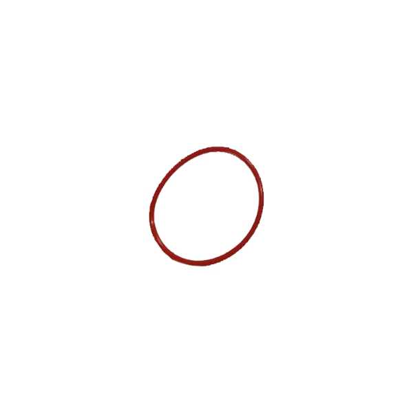 O-Ring for Media Tank